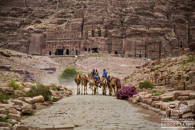 Camels ending a long day at Petra, Jordan